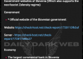 Slovenia Targeted by Cyber Attacks Amidst Growing Tensions Over Support for Ukraine