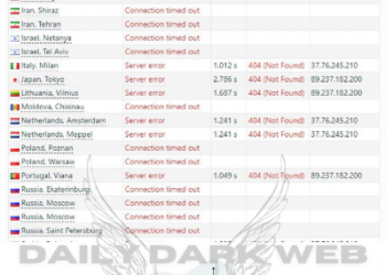 Lulzsec Muslims Group Targets Saudi Ministries, Launching DDoS Attacks on Ministry Websites