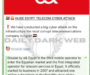 Anonymous Sudan Launches Cyber Attack on Etisalat, Demands Accountability for Social Media Insults