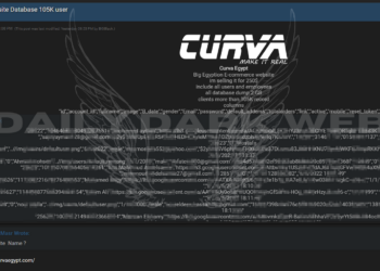 Threat Actor Offers Database of Egyptian E-commerce Giant Curva for Sale at $250
