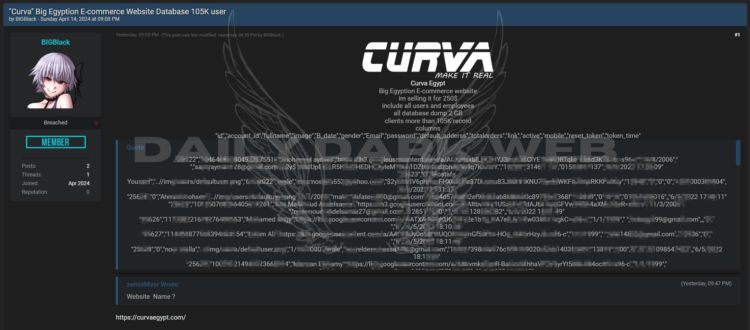 Threat Actor Offers Database of Egyptian E-commerce Giant Curva for Sale at $250