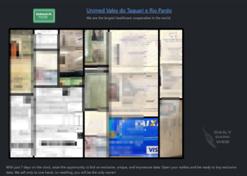 Rhysida Ransomware Group Targeted VTRP, Compromising Sensitive Patient Data