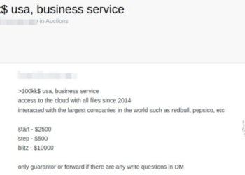 Unauthorized Access to Cloud Storage of an American Business Service Company for Sale