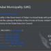 DAIXIN Team Data Breach Group Claims to Have Targeted Dubai Municipality