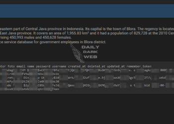 Alleged Leak of Indonesian Government Employee Data
