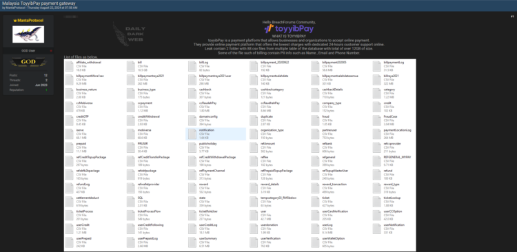 12GB Customer Data From toyyibPay is Allegedly For Sale