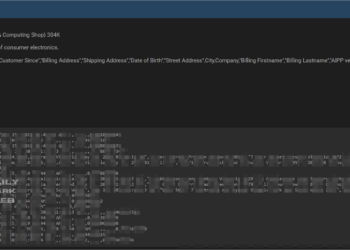 digiDirect’s Customer Information Allegedly Leaked on Dark Web