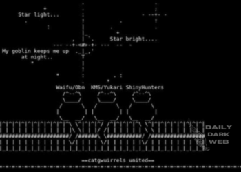 A Member of SiegedSec Group Arrested by FBI