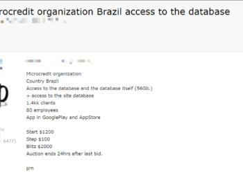 Database Access for Brazilian Microcredit Organization Auctioned on Dark Web