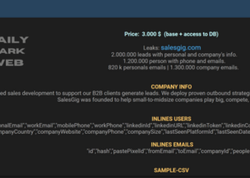 SalesGig Data Exposure Allegedly Leaks 2 Million Leads with Personal and Company Information