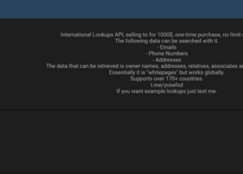 Alleged Sale of International Lookup API Raises Privacy and Security Concerns