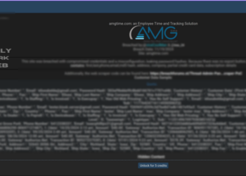 AMGtime Database Leak Exposes Sensitive Workforce Data