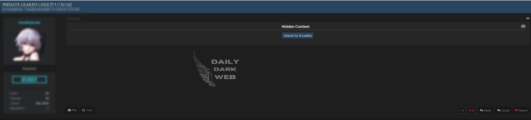 November 2024 Logs Leak Exposes Sensitive Information