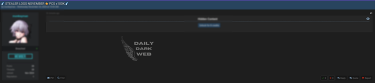 Massive November 2024 Stealer Logs Leak Exposes Sensitive Data