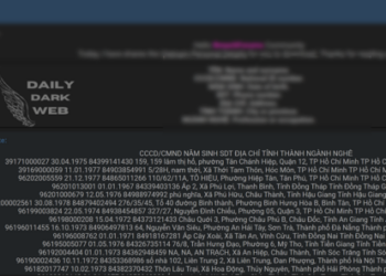 Alleged Personal Data Leak in Vietnam Exposes Sensitive Information