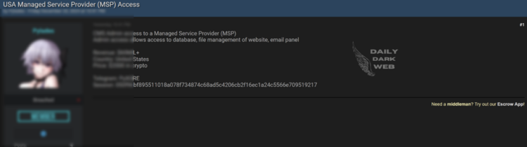 Alleged Compromise of Managed Service Provider (MSP) Access in the U.S.