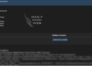 Alleged Data Breach at Exxel Prime International Trading Inc. Exposes Corporate Database