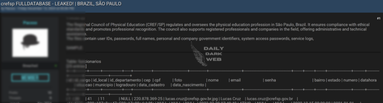 Alleged Data Breach at CREFSP Exposes Full Database in São Paulo