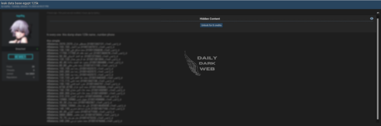 Massive Data Breach Exposes Personal Information of 125,000 Egyptians