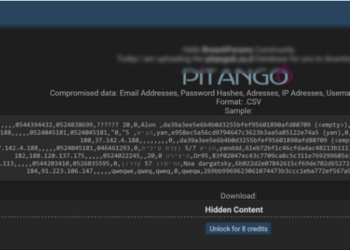 Pitango6 Database Breach Sparks Data Privacy Concerns in Israel