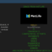 MetLife Data Breach Raises Privacy Concerns in the United States