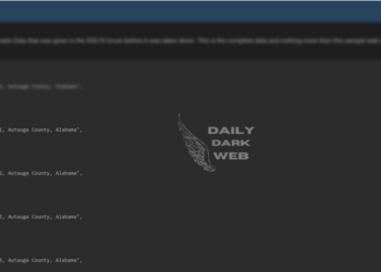 Gravy Analytics Data Breach Sparks Privacy Concerns in the United States