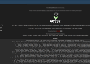 Sensitive Data Exposure Reported at NetSe.in