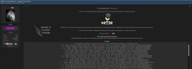 Sensitive Data Exposure Reported at NetSe.in