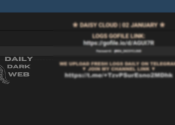 January 2025 Stealer Logs Breach Raises Privacy Concerns