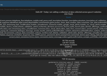 Alleged Data Leak Targets French Government Websites
