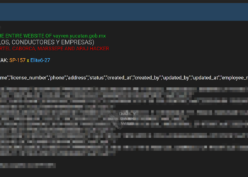 Alleged Data Breach Targets Yucatán Government Website