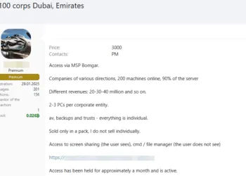 dubaiaccess