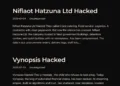 Nifloat Hatzuna Ltd. and Vynopsis Allegedly Breached by Handala Hack Team