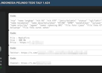 Indonesian Port Operator Pelindo Subsidiary Allegedly Breached – Sensitive Data and Source Code for Sale