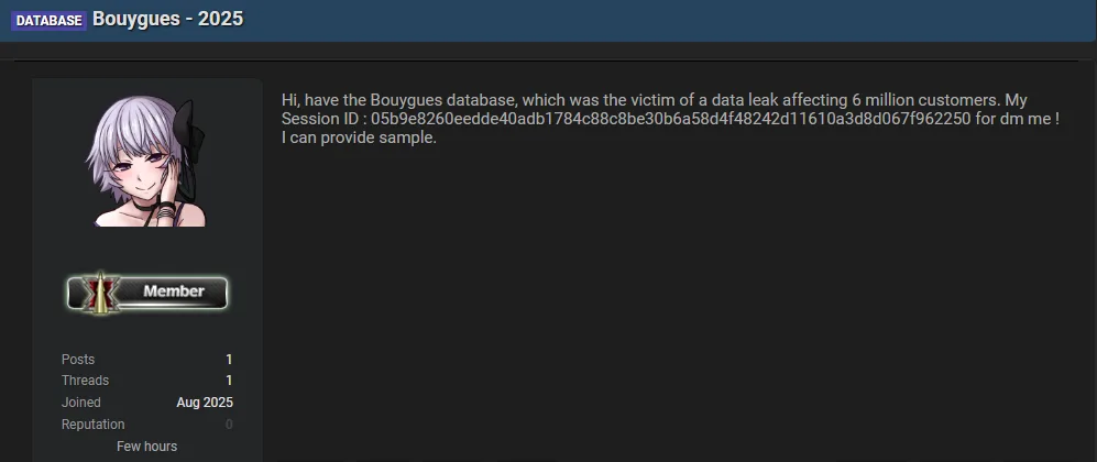 Bouygues Allegedly Hit by Data Breach Affecting 6 Million Customers