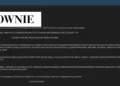 Spanish Fashion Brand Brownie Allegedly Breached; +600k Customer Records for Sale