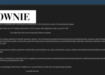 Spanish Fashion Brand Brownie Allegedly Breached; +600k Customer Records for Sale
