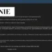 Spanish Fashion Brand Brownie Allegedly Breached; +600k Customer Records for Sale