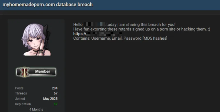 MyHomemadePorn User Database Leaked in Data Breach