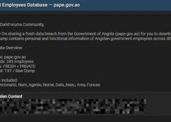 Angolan Government Employee Database Allegedly Leaked Online