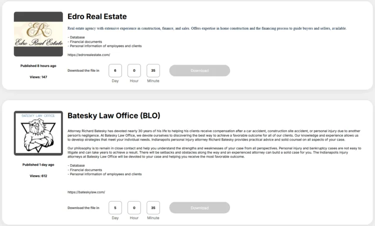 Space Bears Hits Edro Real Estate & Batesky Law Office