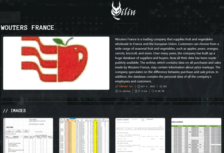 Qilin Ransomware Allegedly Breaches French Wholesaler Wouters France