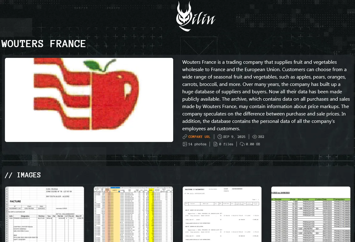 Qilin Ransomware Allegedly Breaches French Wholesaler Wouters France