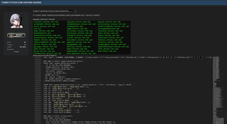 Eticex Hosting Data Breach Exposes Customer Databases