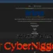 Netherlands Software Firm Irias Suffers Source Code Data Breach