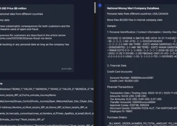 Everest Ransomware Attack Hits Iberia Airlines and National Money Mart