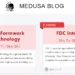 Medusa Ransomware Attacks Nationwide Legal, MFE Formwork, and Others