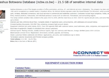 Nashua Botswana Data Breach: 21.5GB Sensitive Data for Sale
