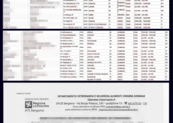 MecMatica Italy Data Breach: Sarcoma Ransomware Leak Details