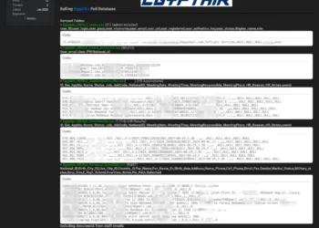 EgyptAir Data Breach: 104k Records and HR Data Allegedly Leaked